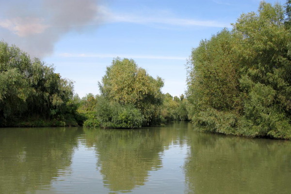 Image - The Danube River delta near Vylkove, Odesa oblast.